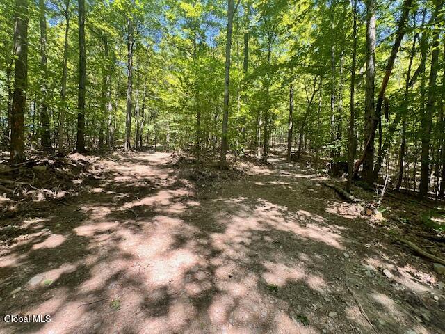 L7.41 Summit Lake Road Argyle, NY 12809 - Photo 5 of 13 IMG_8215