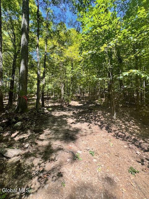 L7.41 Summit Lake Road Argyle, NY 12809 - Photo 6 of 13 IMG_8217