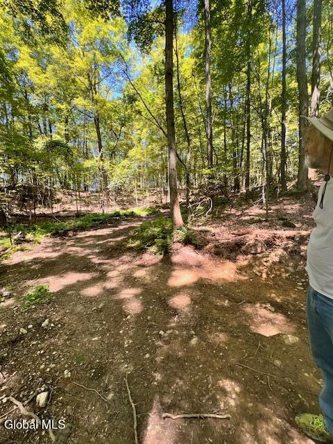 L7.41 Summit Lake Road Argyle, NY 12809 - Photo 7 of 13 IMG_8221