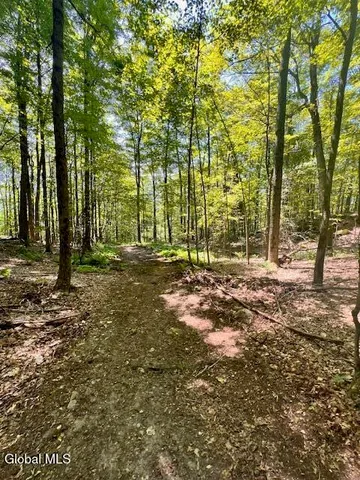 $49,000 | L7.41 Summit Lake Road, Argyle, NY 12809