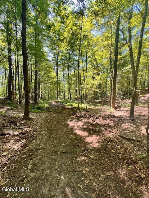 L7.41 Summit Lake Road Argyle, NY 12809 - Photo 8 of 13 IMG_8223