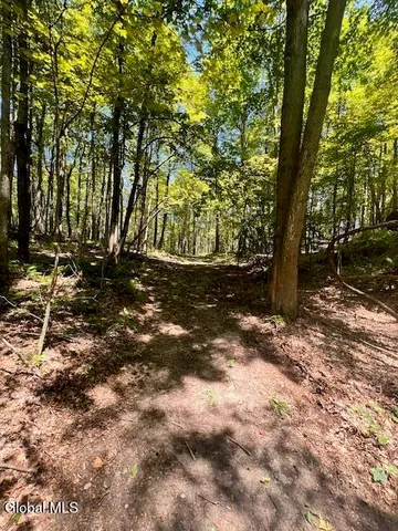 $49,000 | L7.41 Summit Lake Road, Argyle, NY 12809