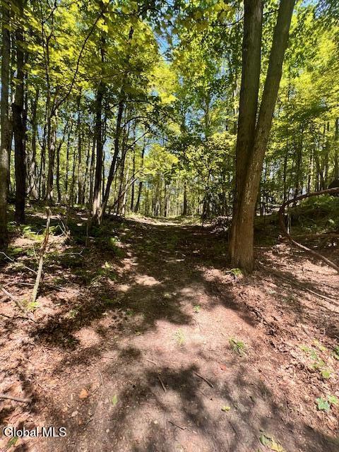 L7.41 Summit Lake Road Argyle, NY 12809 - Photo 9 of 13 IMG_8224