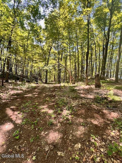 L7.41 Summit Lake Road Argyle, NY 12809 - Photo 10 of 13 IMG_8228