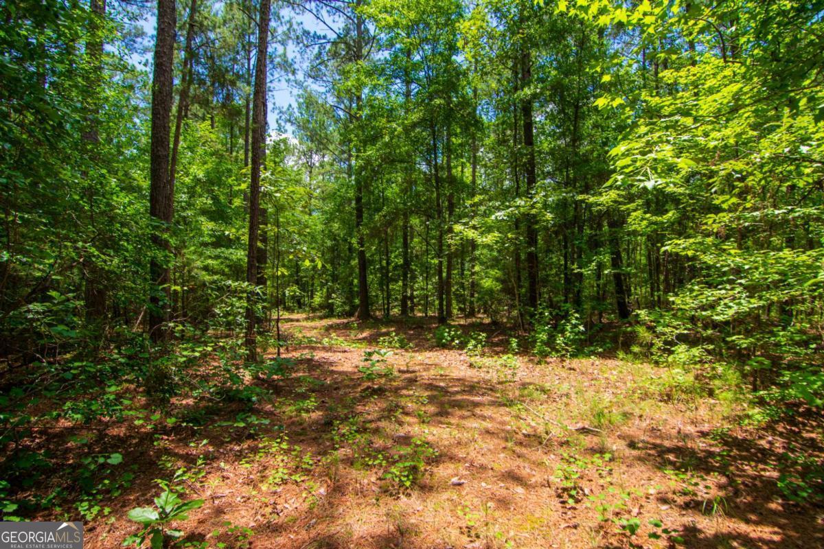 0 White Road Pine Mountain, GA 31822 - Photo 10 of 22 Gallery Image 10