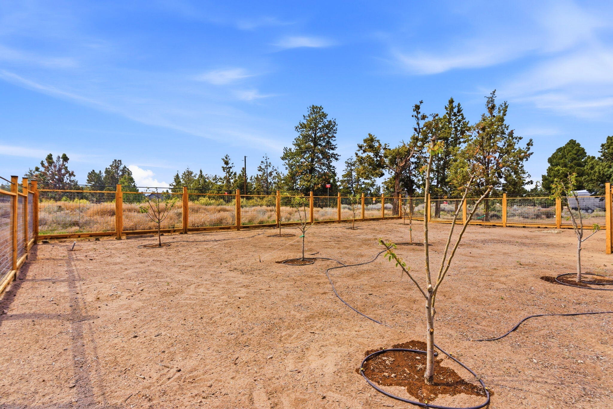 63557 Overtree Road Bend, OR 97701 - Photo 79 of 94 75-web-or-mls-Riley_Visuals_079