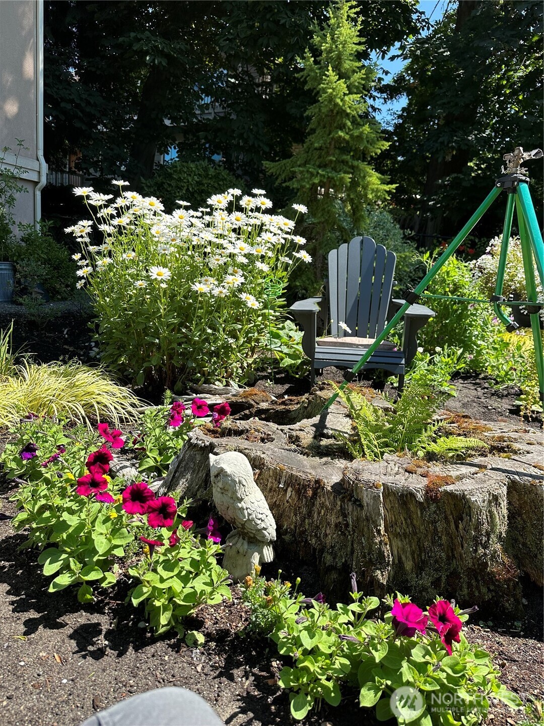 816 Walnut Street Edmonds, WA 98020 - Photo 36 of 40