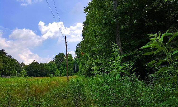 2 Spruce Hollow Road South Webster, OH 45682 - Photo 1 of 1