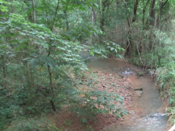 62.85-ac Old Stone Road Hilham, TN 38568 - Photo 22 of 40 06212019 092