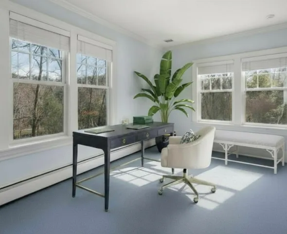 a living room with furniture and a potted plant