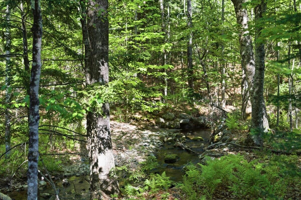 263 Number Six Road Oxford, ME 04270 - Photo 22 of 72 Acreage