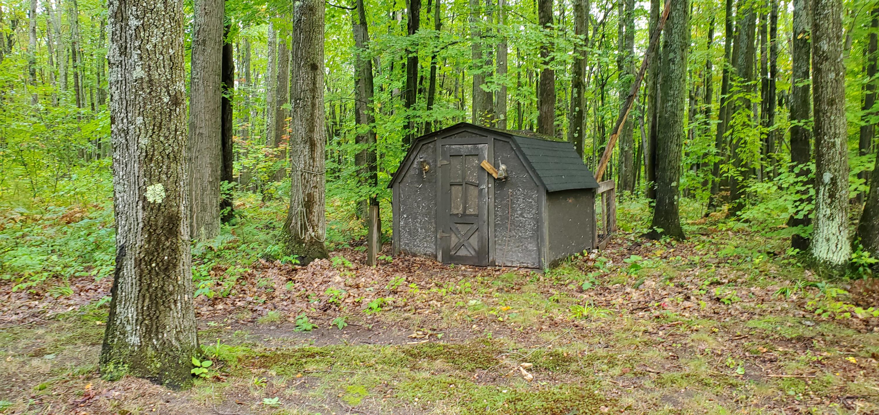 11850 Fawn Road Atlanta, MI 49709 - Photo 23 of 25 Gallery Image 23