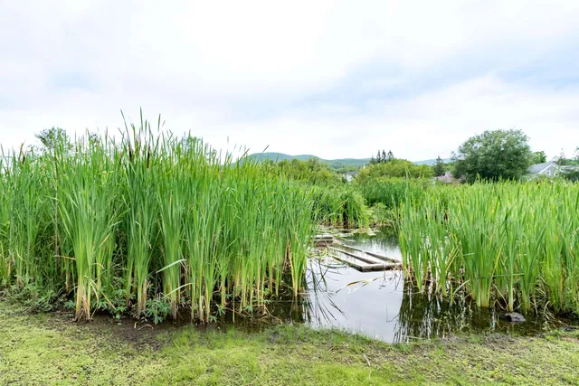 $278,900 | 92 Derby Street, Brighton, VT 05846