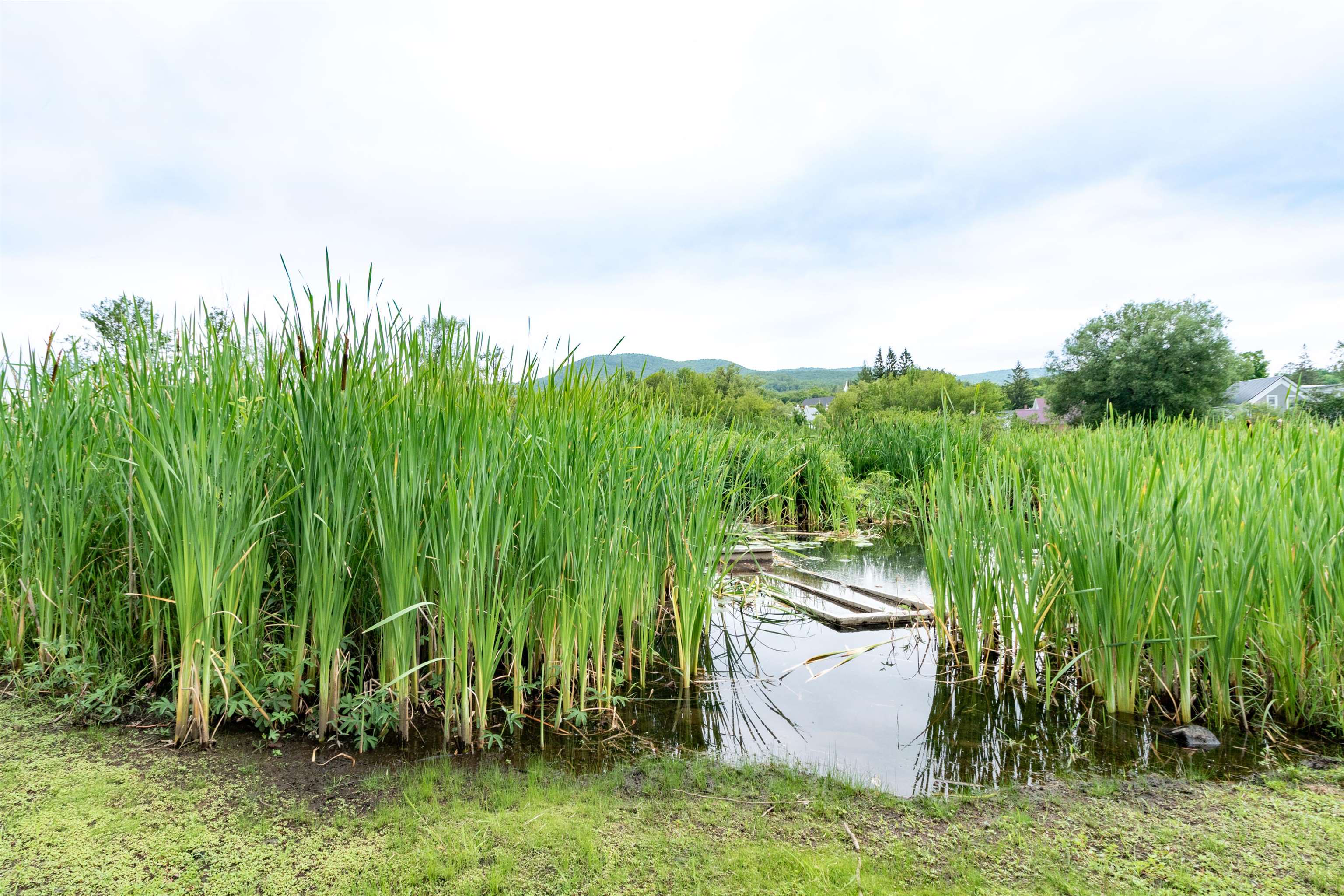 92 Derby Street Brighton, VT 05846 - Photo 33 of 42