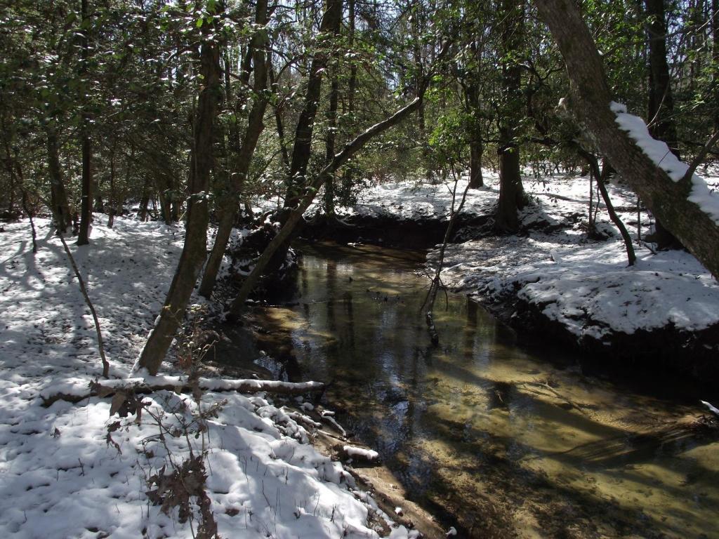 442 Sunshine Road Sequatchie, TN 37374 - Photo 2 of 17 Creek