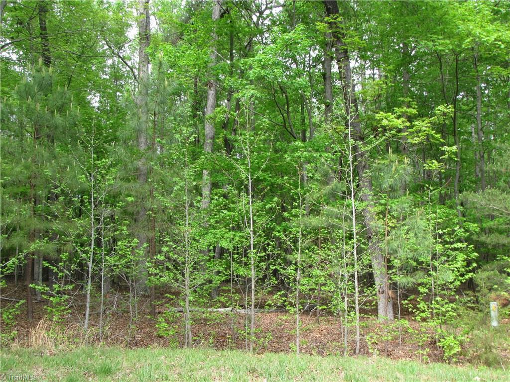 5 Back Acres Road, Unit BACK ACRES Efland, NC 27243 - Photo 2 of 9 Lovely place for a home site