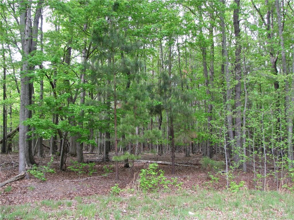 5 Back Acres Road, Unit BACK ACRES Efland, NC 27243 - Photo 3 of 9 Don't Wait