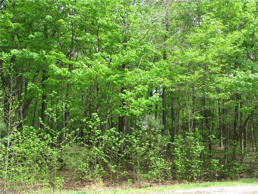 5 Back Acres Road, Unit BACK ACRES Efland, NC 27243 - Photo 4 of 9 Neighbors to the Right