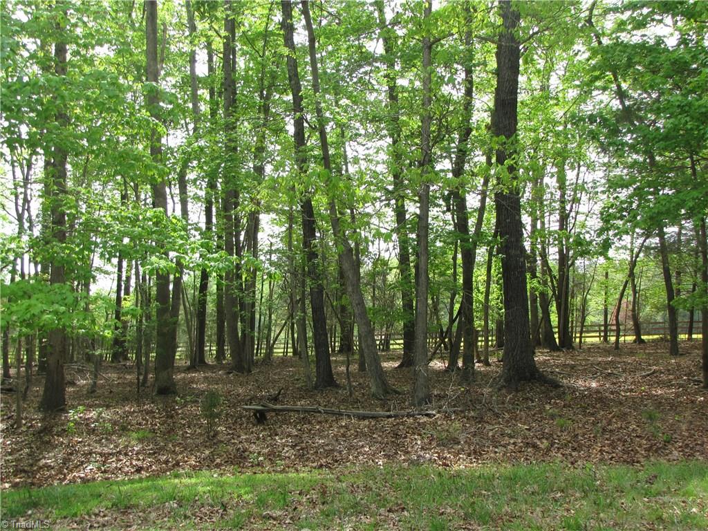 5 Back Acres Road, Unit BACK ACRES Efland, NC 27243 - Photo 5 of 9 Neighbors to the left