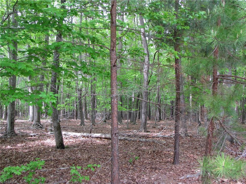 5 Back Acres Road, Unit BACK ACRES Efland, NC 27243 - Photo 6 of 9 Gallery Image 6