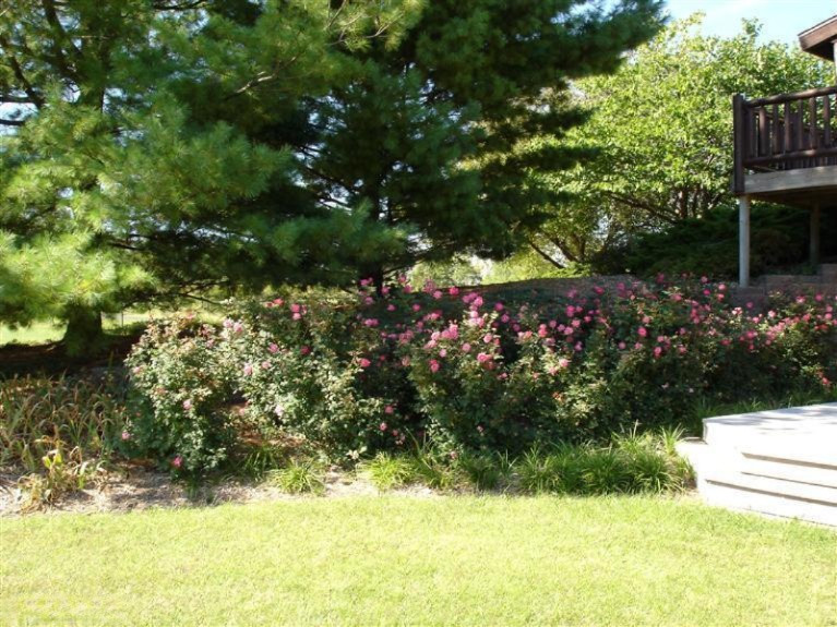 8975 Holden Road Baroda, MI 49101 - Photo 24 of 24 Additional Photo