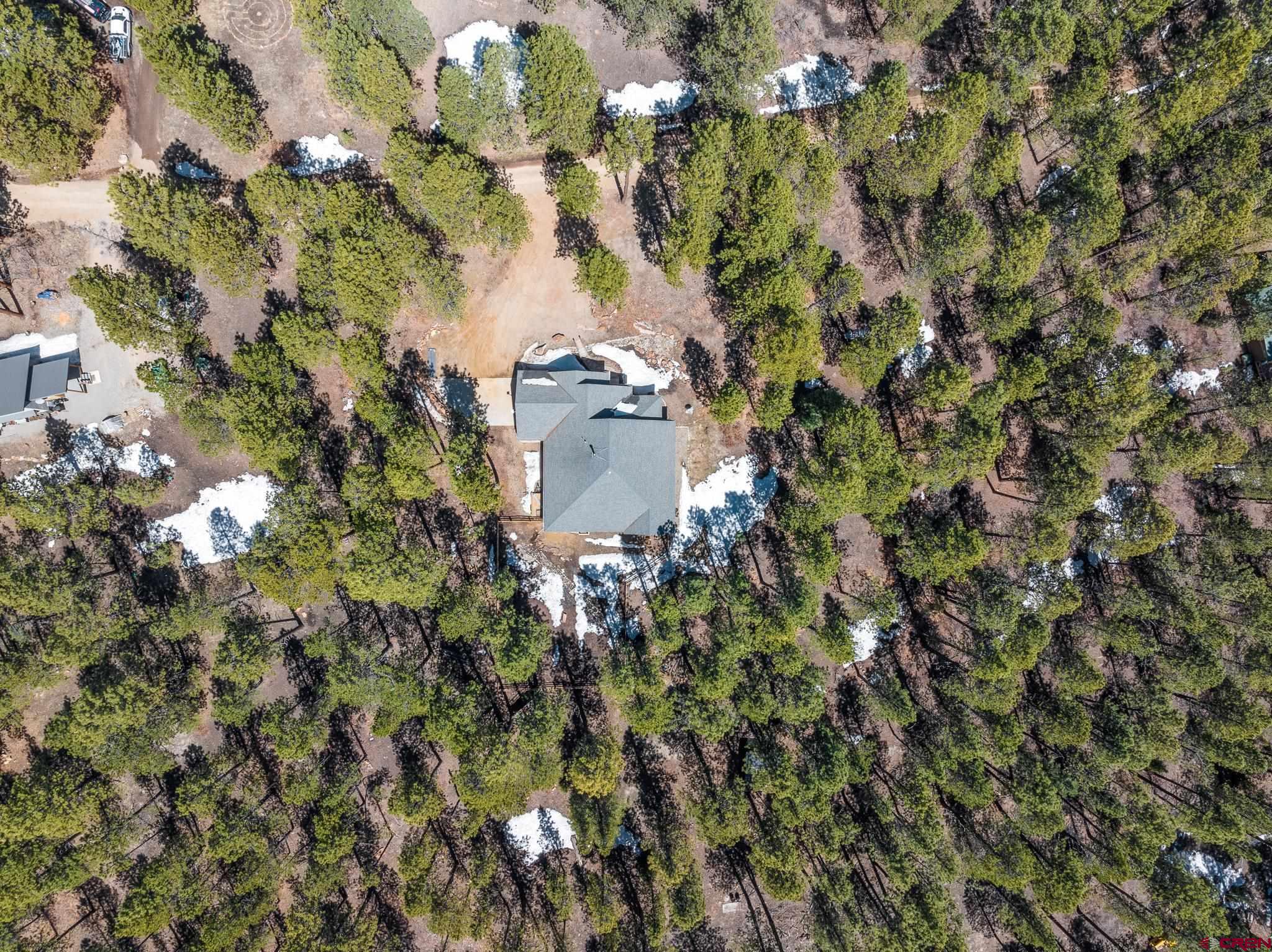 671 Sierra Circle Durango, CO 81301 - Photo 5 of 35 a picture of tree