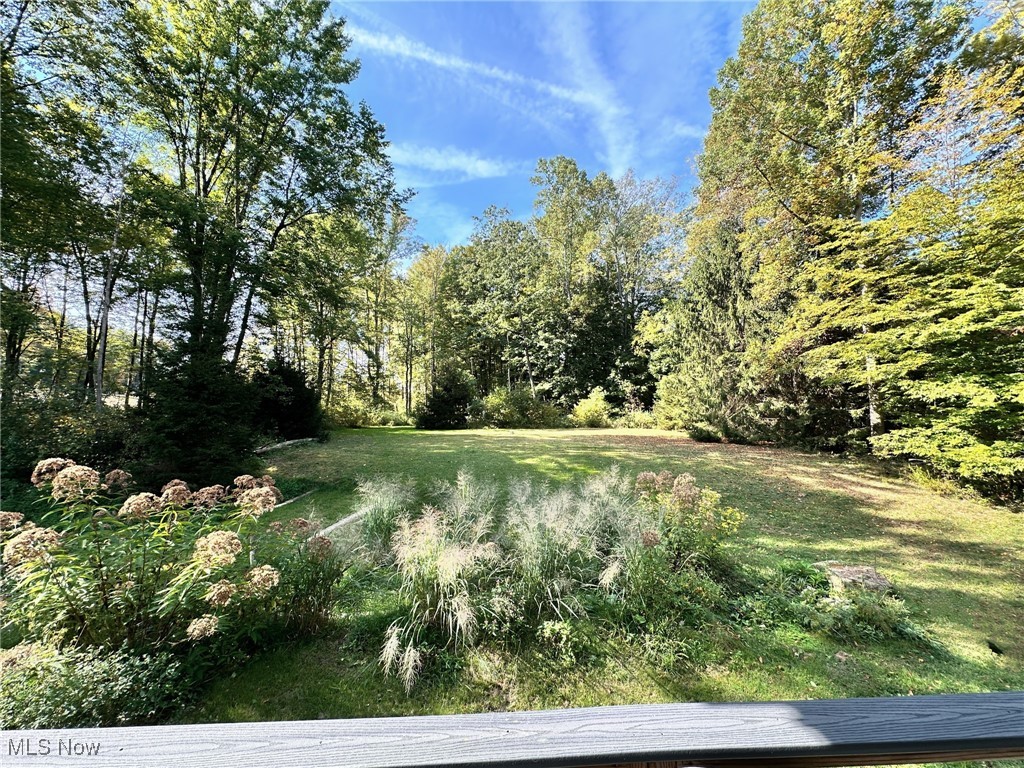 8145 Chagrin Road Chagrin Falls, OH 44023 - Photo 35 of 40 View of green lawn featuring a forest view