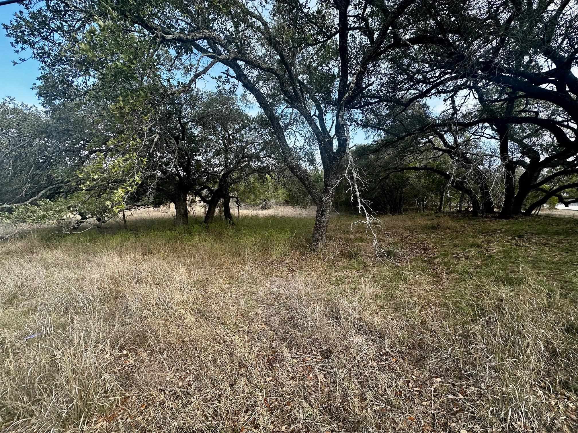 Lot 267 Coventry Road Spicewood, TX 78669 - Photo 4 of 17 a backyard of a house with lots of green space