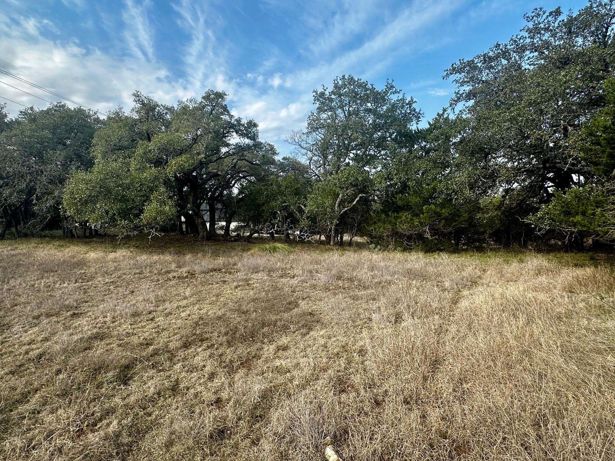 Lot 267 Coventry Road Spicewood, TX 78669 - Photo 10 of 17 a view of outdoor space