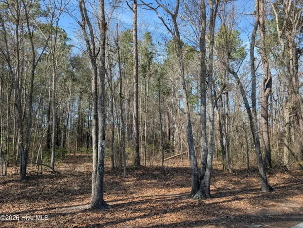 $52,000 | Undisclosed Address, Wallace, NC 28466