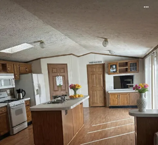 $41,900 | 746 Michelle Drive, Lynwood, IL 60411