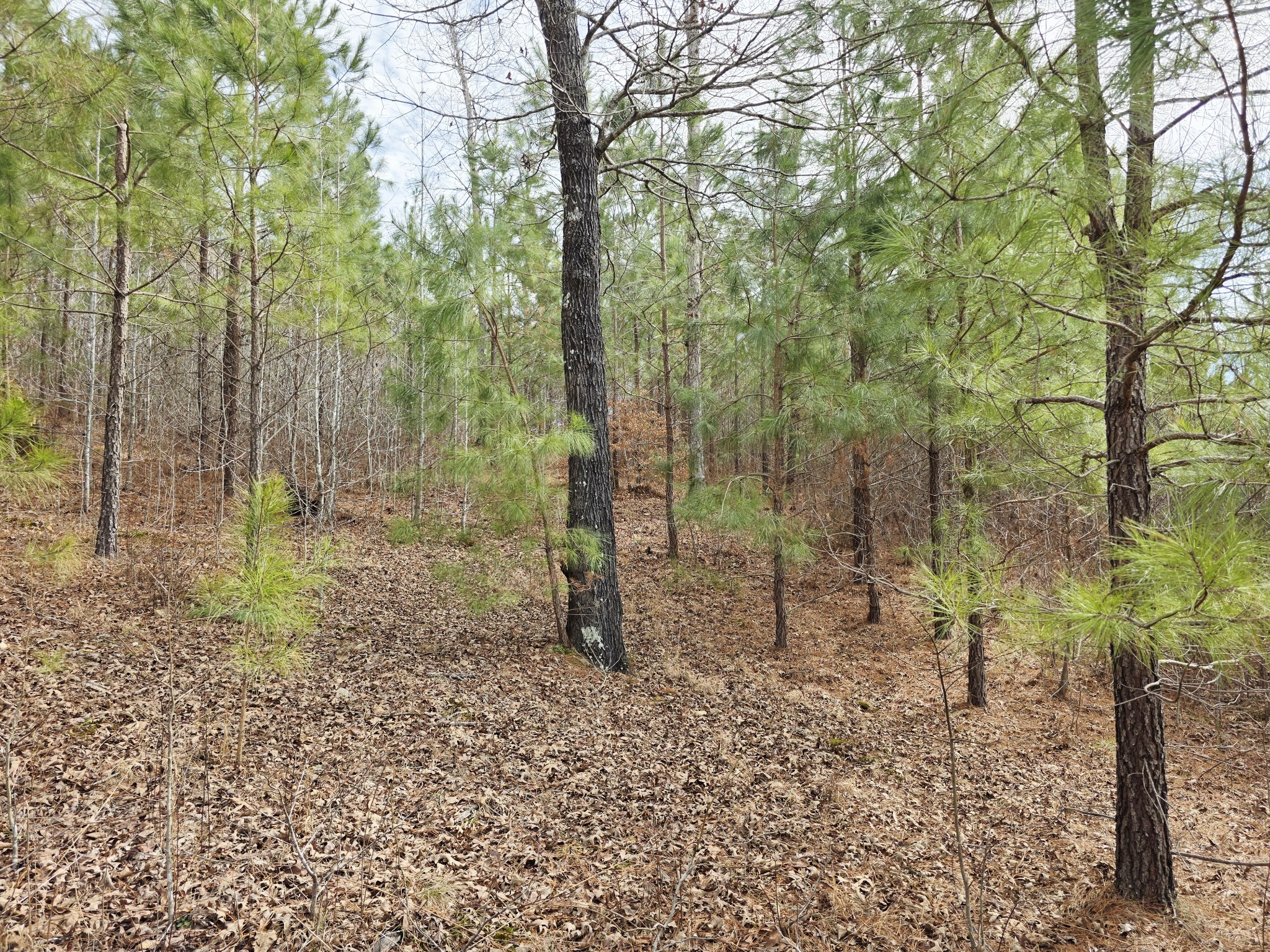 0 Birdsong Road Holladay, TN 38341 - Photo 38 of 70