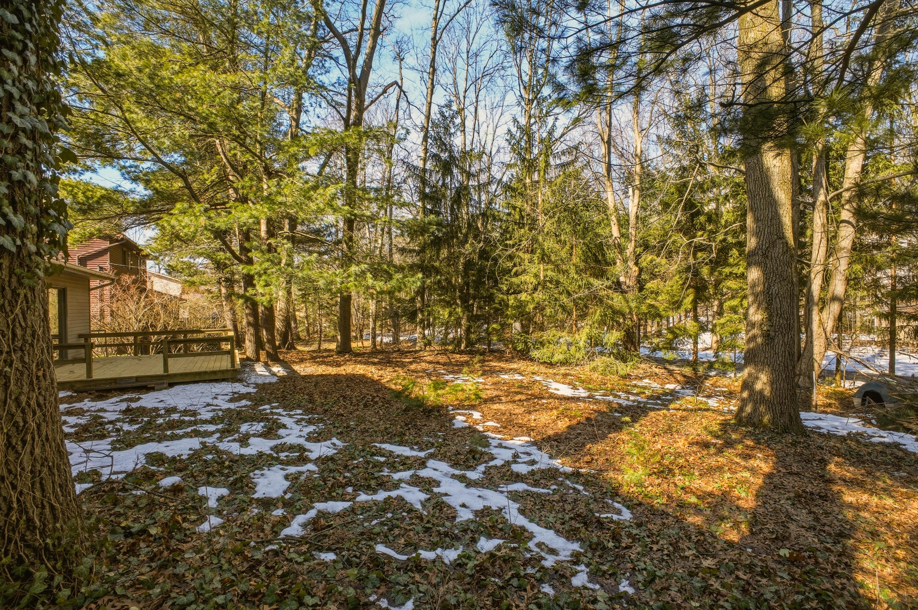 16203 Terrace Road Spring Lake, MI 49456 - Photo 42 of 48 1M7A6399