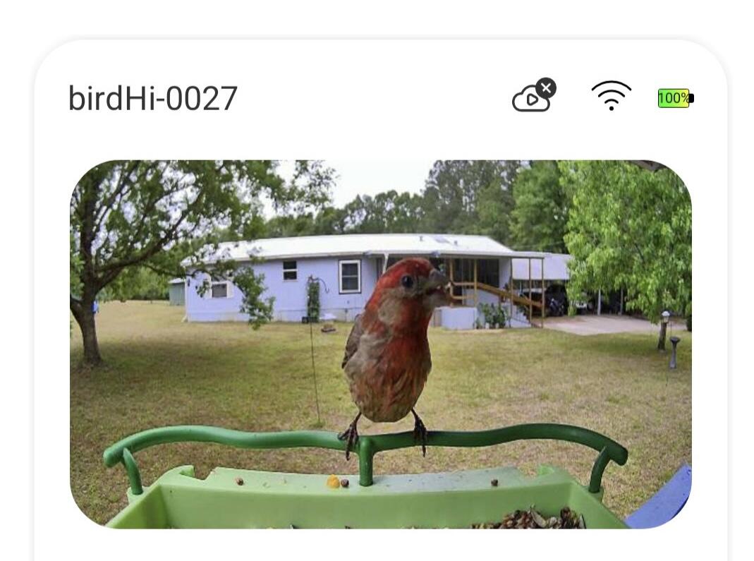 1462 McCauley Road Baker, FL 32531 - Photo 43 of 43 1000002364
