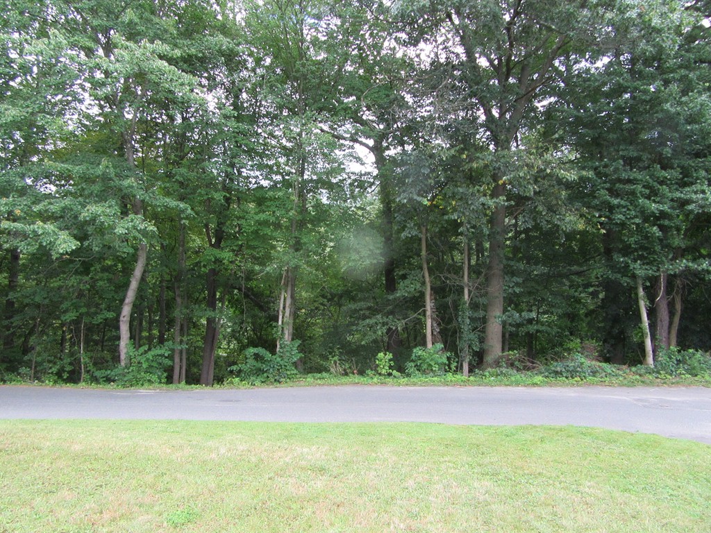 7 Bruce Street Springfield, MA 01119 - Photo 15 of 17