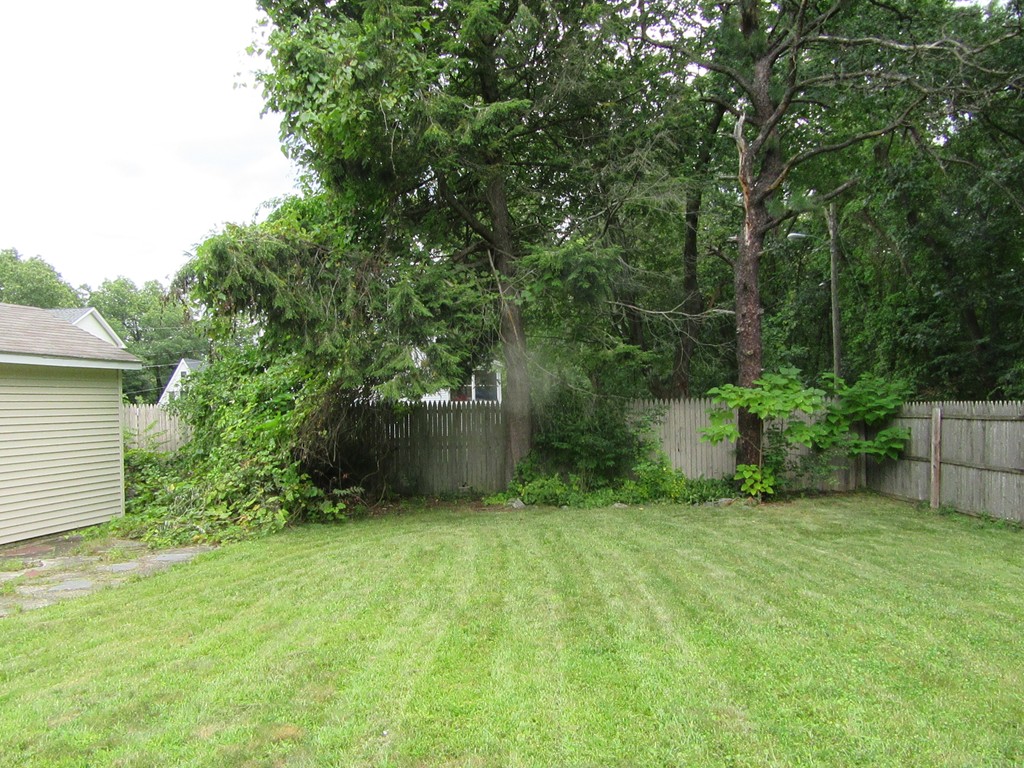 7 Bruce Street Springfield, MA 01119 - Photo 5 of 17