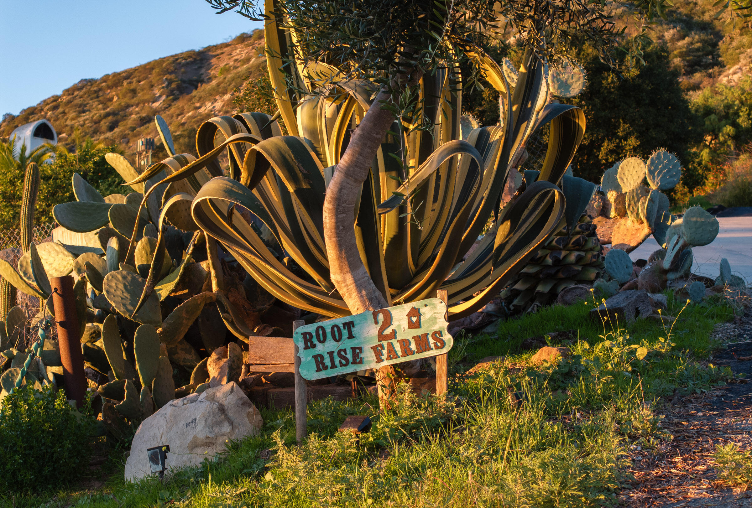 4488 Foothill Road Carpinteria, CA 93013 - Photo 11 of 22 Root2Rise Farms