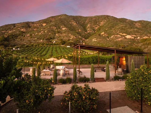 a view of a city with a mountain in the background