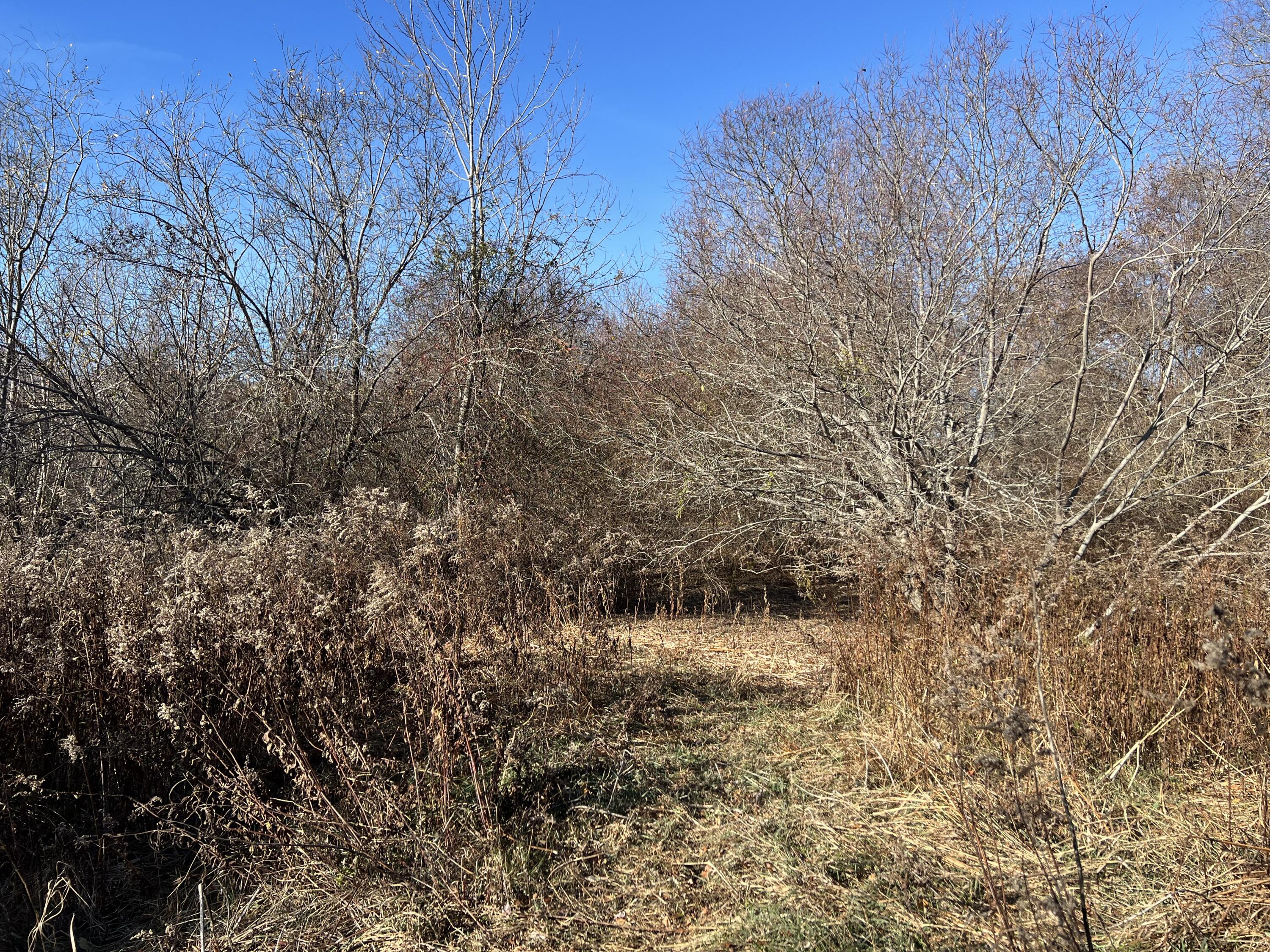 Lot #b Winding Way Rockport, ME 04856 - Photo 2 of 8 land