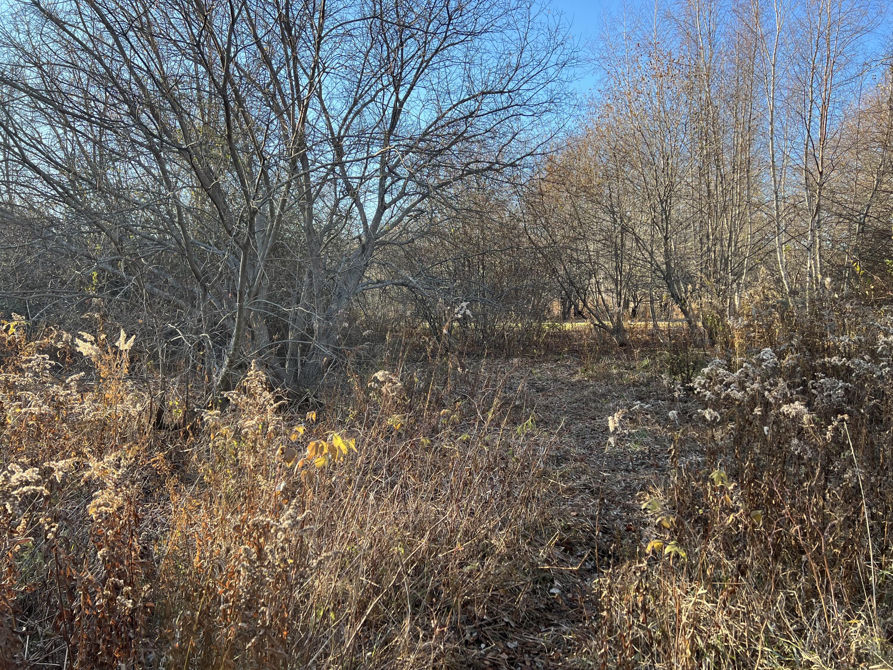 Lot #b Winding Way Rockport, ME 04856 - Photo 3 of 8 land