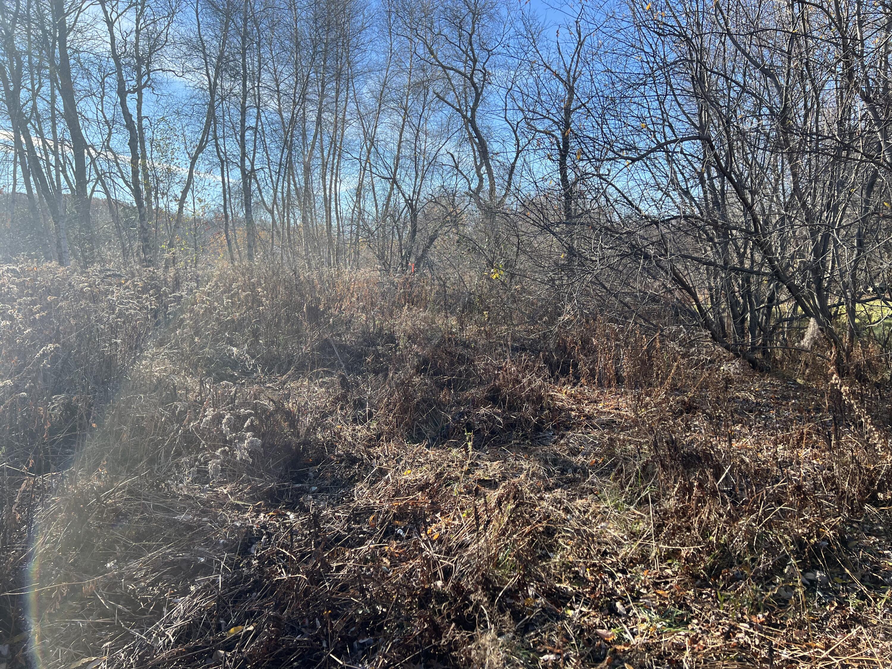 Lot #b Winding Way Rockport, ME 04856 - Photo 4 of 8 land