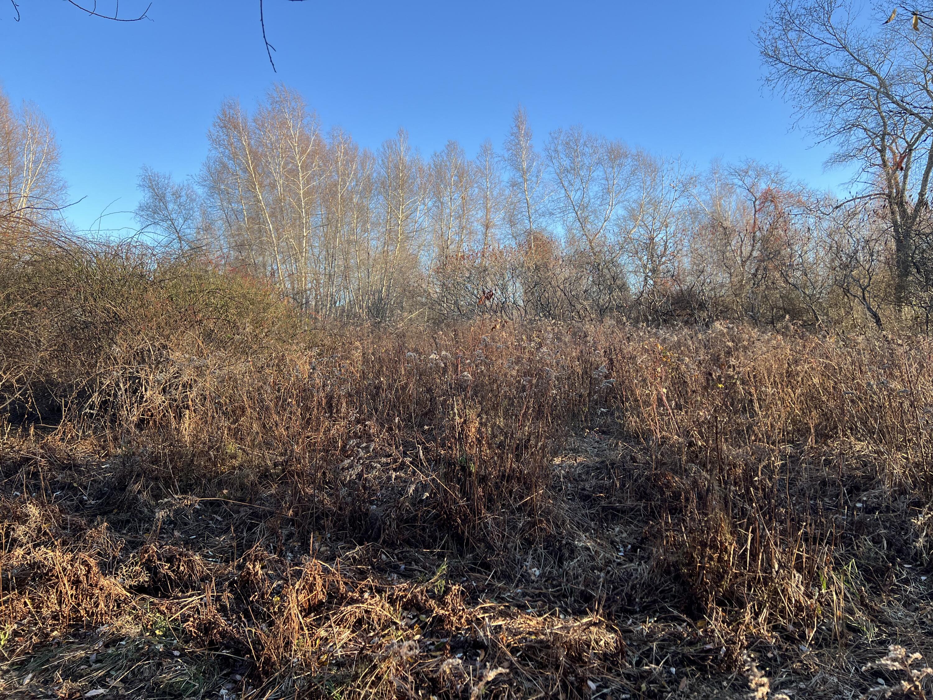 Lot #b Winding Way Rockport, ME 04856 - Photo 6 of 8 land