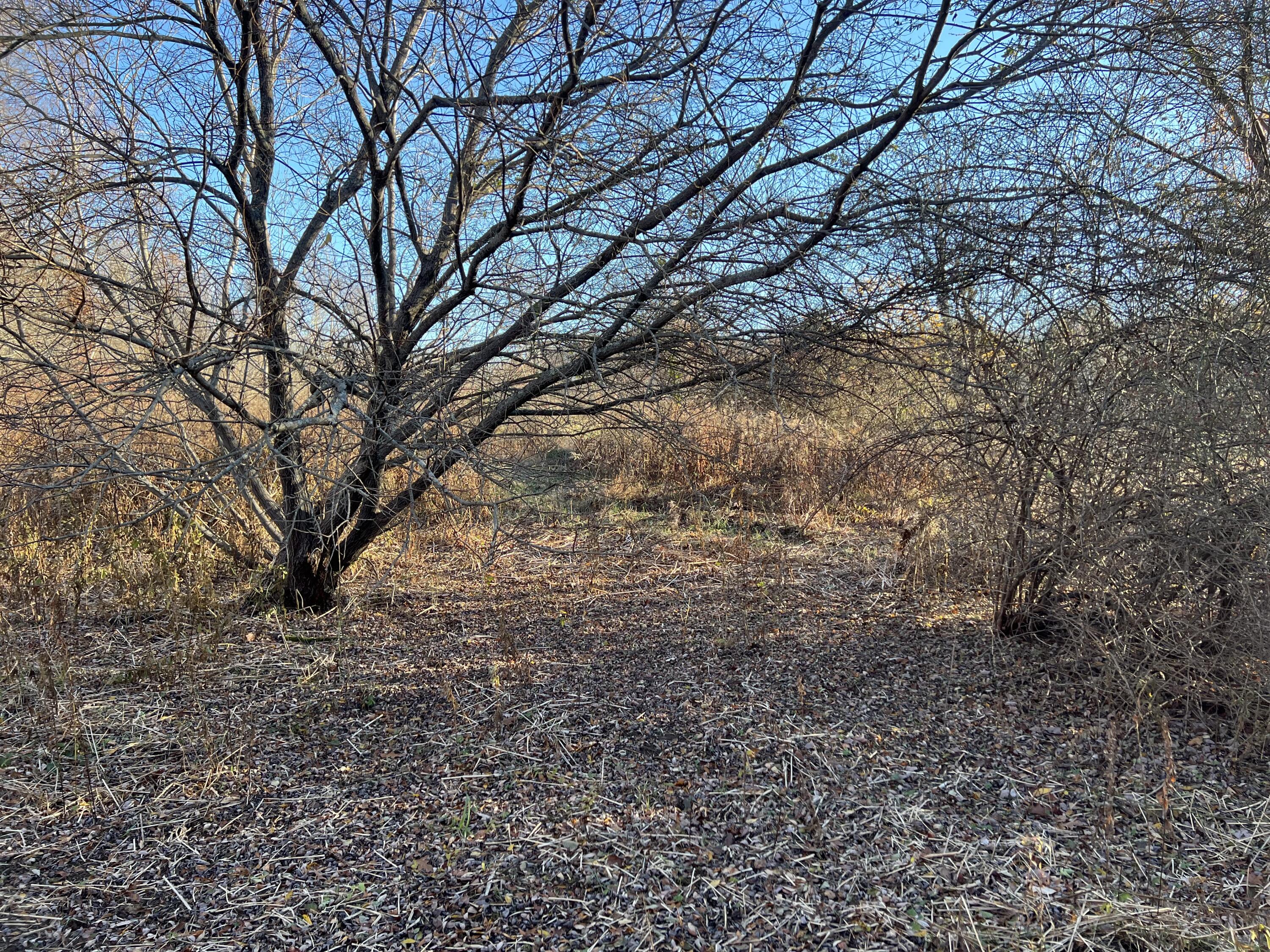 Lot #b Winding Way Rockport, ME 04856 - Photo 8 of 8 land