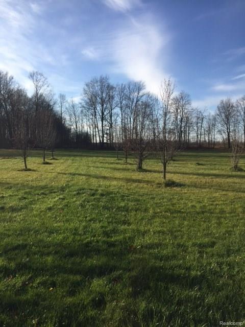 7238 Elms Road Swartz Creek, MI 48473 - Photo 10 of 70 IMG_4681.JPG