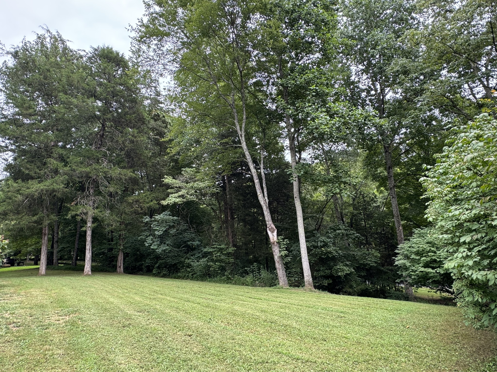 9056 Taylor Cemetery Road Lyles, TN 37098 - Photo 21 of 26