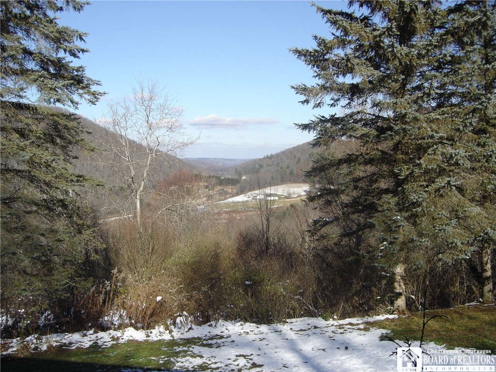 3773 Haskell Vly Vw Road Clarksville, NY 14727 - Photo 12 of 31