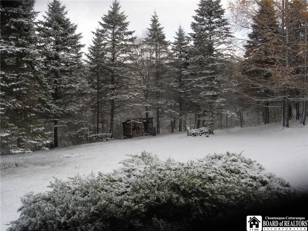3773 Haskell Vly Vw Road Clarksville, NY 14727 - Photo 10 of 31