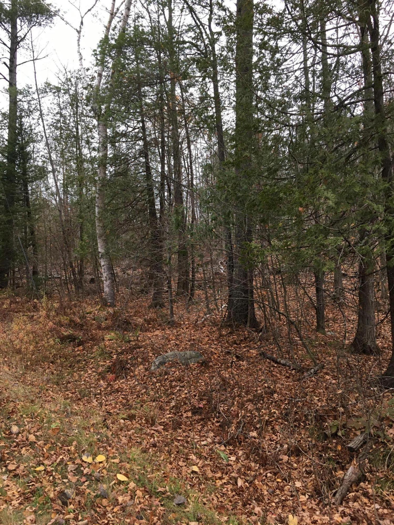 0 Messer Road West Moscow, ME 04920 - Photo 2 of 3 IMG-2183 (1)