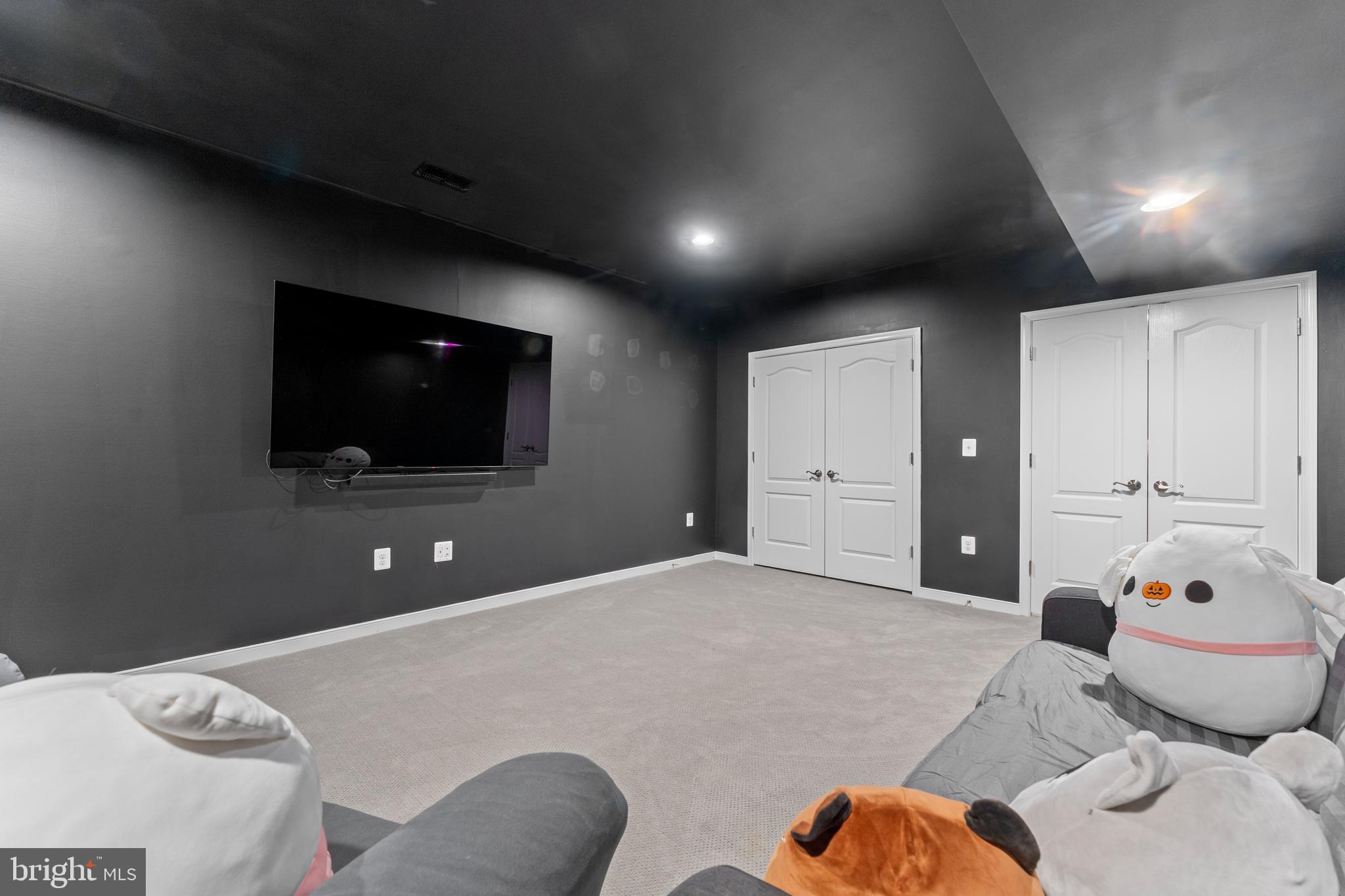 80 Shackelford Well Road Fredericksburg, VA 22406 - Photo 69 of 108 Basement theatre room