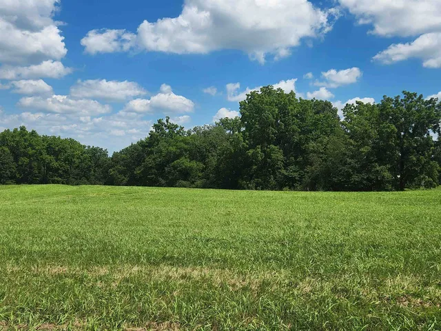 a view of a big yard with a large trees